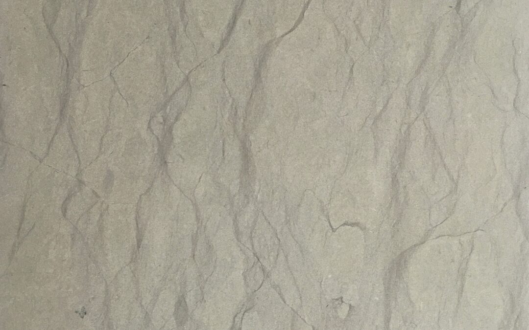 GREY DOVE