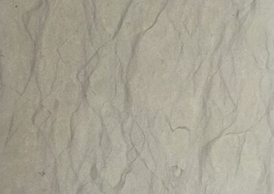 GREY DOVE