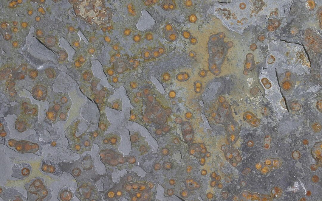 RUSTY (ARDESIA MULTICOLOR)