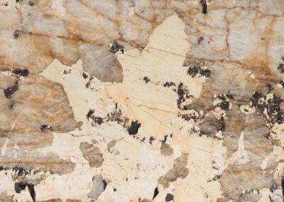 PATAGONIA
